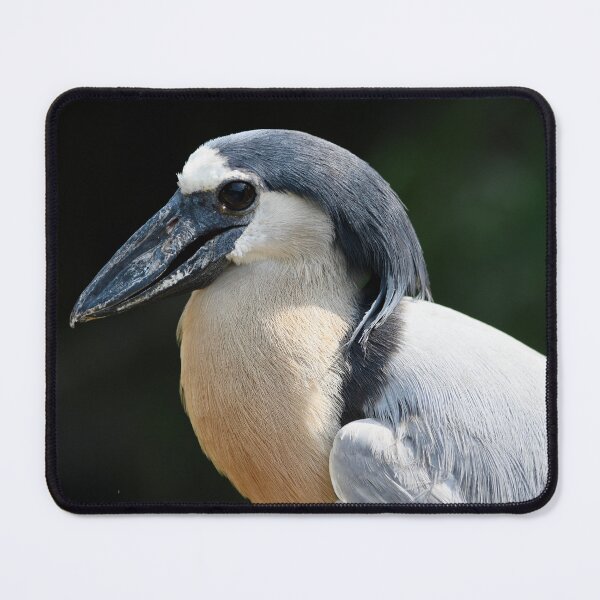 Item preview, Honduran Boat Billed Heron designed and sold by richardbryce.