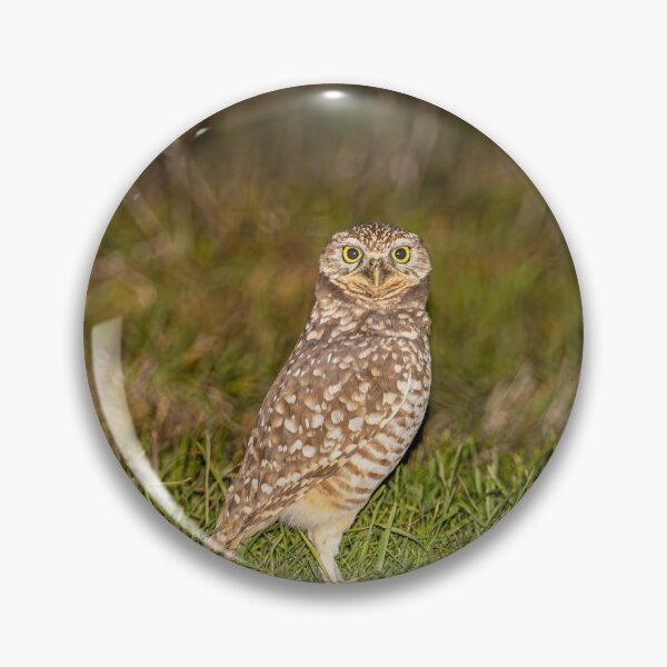 Item preview, Burrowing Owl On The Prowl designed and sold by PsychoAlien.com.