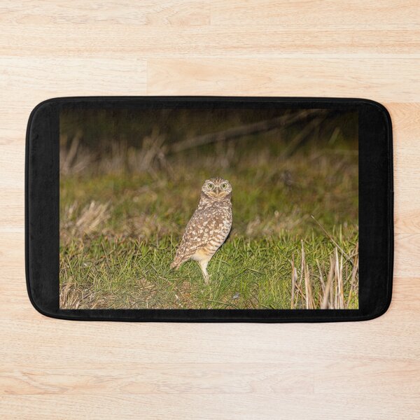 Item preview, Burrowing Owl On The Prowl designed and sold by PsychoAlien.com.