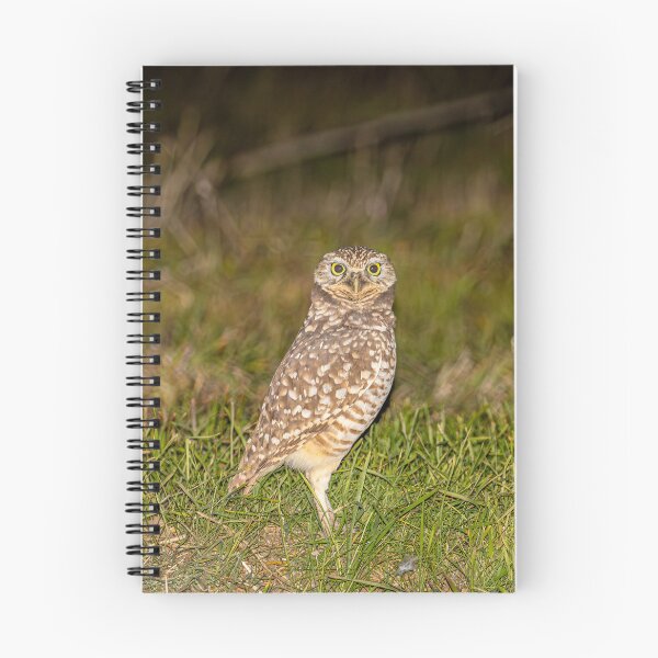 Item preview, Burrowing Owl On The Prowl designed and sold by PsychoAlien.com.