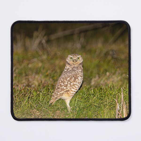 Item preview, Burrowing Owl On The Prowl designed and sold by PsychoAlien.com.