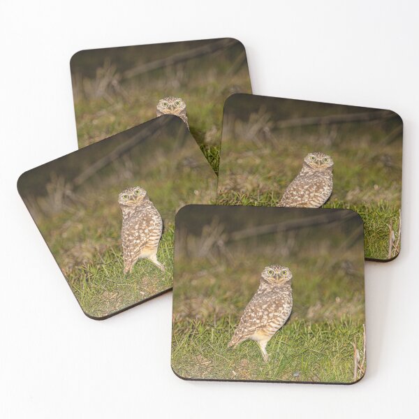 Item preview, Burrowing Owl On The Prowl designed and sold by PsychoAlien.com.