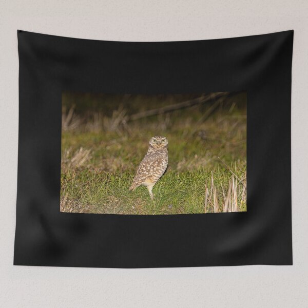 Item preview, Burrowing Owl On The Prowl designed and sold by PsychoAlien.com.