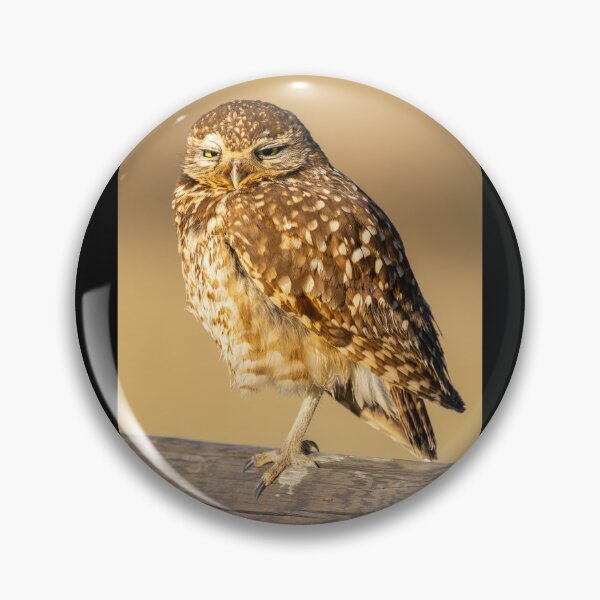 Item preview, Bolsa Chica Endangered Burrowing Owl designed and sold by PsychoAlien.com.