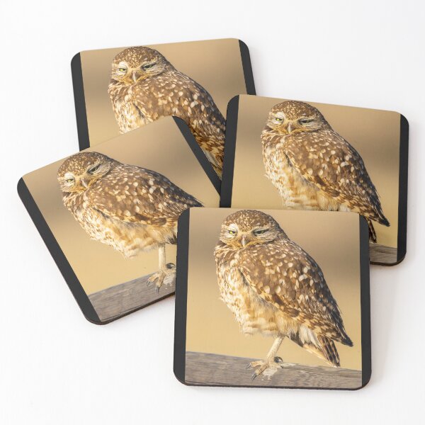 Item preview, Bolsa Chica Endangered Burrowing Owl designed and sold by PsychoAlien.com.