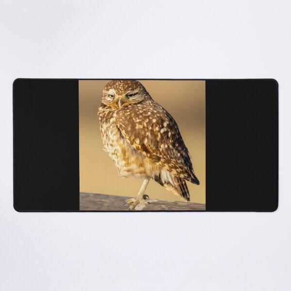 Item preview, Bolsa Chica Endangered Burrowing Owl designed and sold by PsychoAlien.com.
