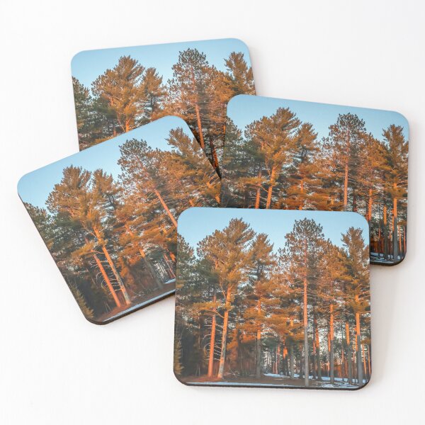Item preview, Sunlight Drenched Red Pines in Carlton, Minnesota USA designed and sold by LINDA MCKUSICK.