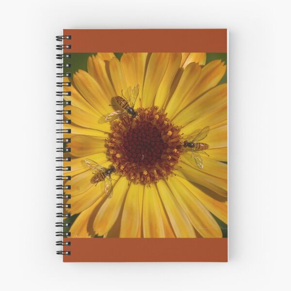 Item preview, Hoverflies on a Marigold  designed and sold by Shannon Emmel .