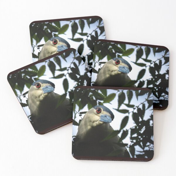 Item preview, Black-crowned night Heron  designed and sold by Shannon Emmel .