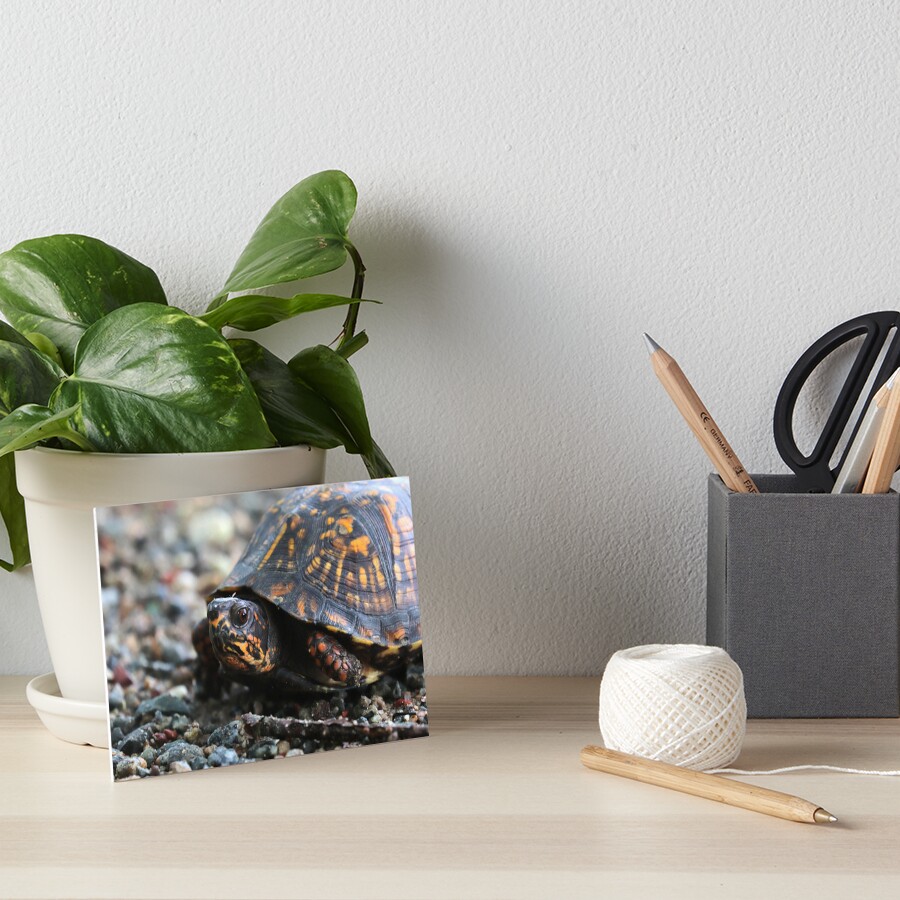 Item preview, Art Board Print designed and sold by NatureWithX.