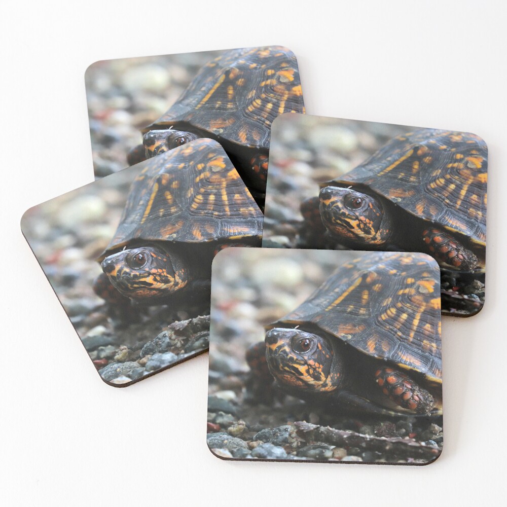 Item preview, Coasters (Set of 4) designed and sold by NatureWithX.