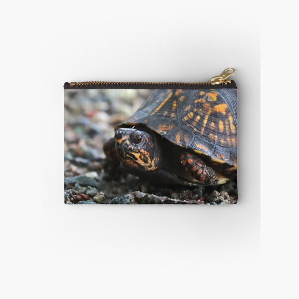 Item preview, Box Turtle designed and sold by Parks and X.