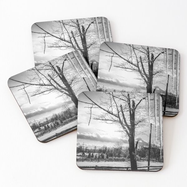 Item preview, Icicles and Snow, Ohio, 2004  designed and sold by Douglas E. Welch Design and Photography.