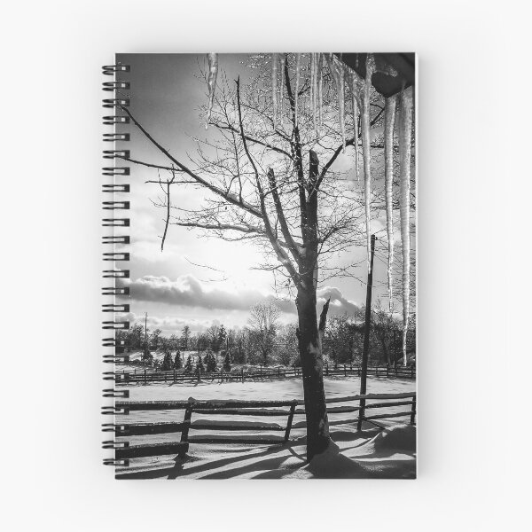 Item preview, Icicles and Snow, Ohio, 2004  designed and sold by Douglas E. Welch Design and Photography.