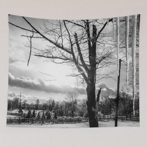 Item preview, Icicles and Snow, Ohio, 2004  designed and sold by Douglas E. Welch Design and Photography.