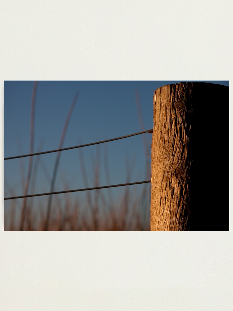 Alternate view of Texture Photographic Print