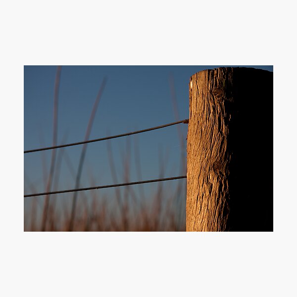Photographic Print