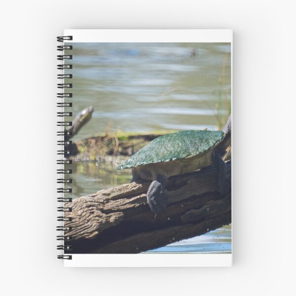 Item preview, Murray River Turtle  designed and sold by D-GaP.
