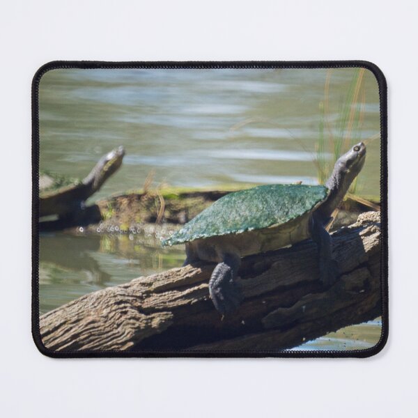 Item preview, Murray River Turtle designed and sold by D-GaP.