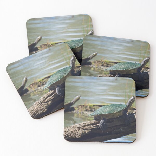 Item preview, Murray River Turtle  designed and sold by D-GaP.