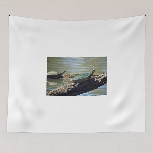 Item preview, Murray River Turtle  designed and sold by D-GaP.