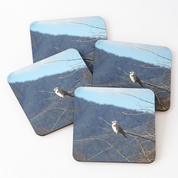 Item preview, Laughing Kookaburra Hunts Lunch designed and sold by Joy Watson - Natural Light Photography .