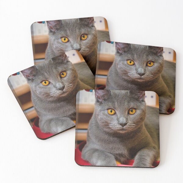 Item preview, Chartreux Cat Portrait with Golden Eyes designed and sold by RastislavS.