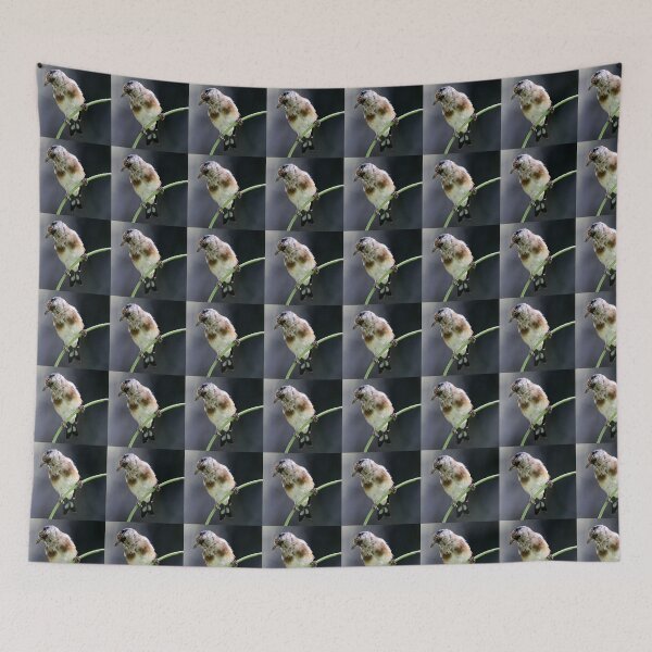 Item preview, jilguero designed and sold by KathleenDawson.
