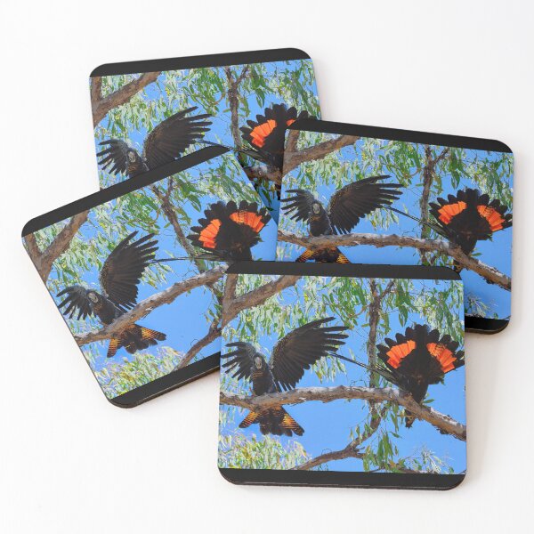 Item preview, Red-Tailed Black Cockatoos - Birds in Australia Flirting Pair designed and sold by Adam Gormley.