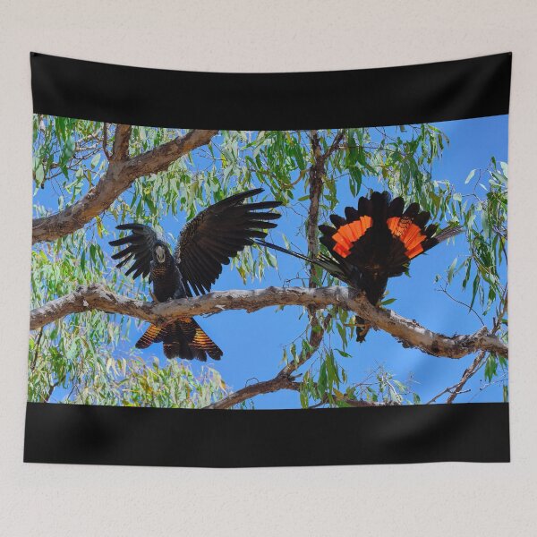 Item preview, Red-Tailed Black Cockatoos - Birds in Australia Flirting Pair designed and sold by Adam Gormley.