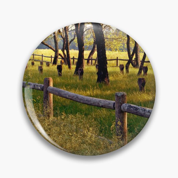 Item preview, Danvers State Hospital Cemtery II designed and sold by Kerri Ann McClellan.