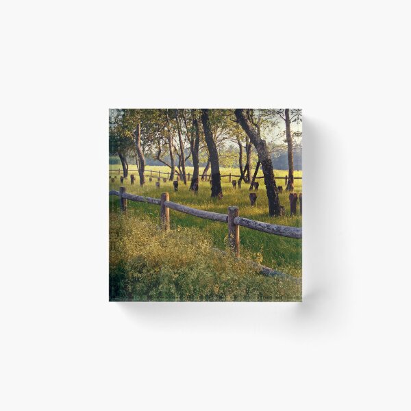 Item preview, Danvers State Hospital Cemtery II designed and sold by Kerri Ann McClellan.