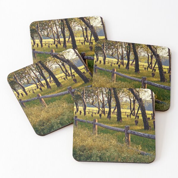 Item preview, Danvers State Hospital Cemtery II designed and sold by Kerri Ann McClellan.