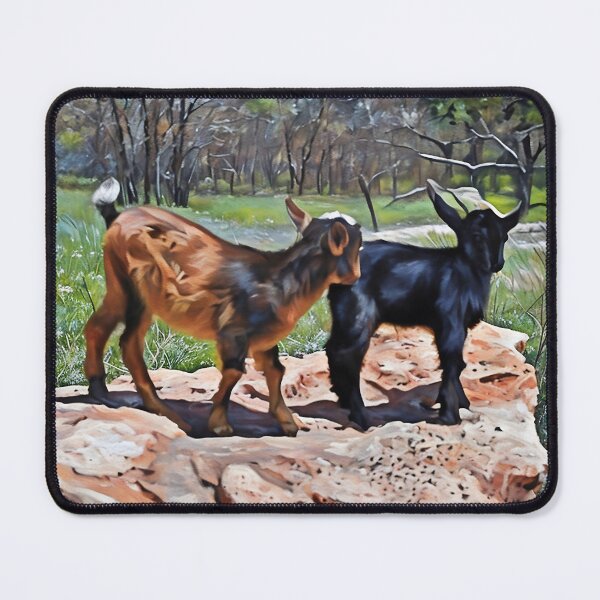 Item preview, Nigerian dwarf goats  designed and sold by RobynPeters1836.