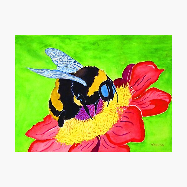 Bumblebee Photographic Print
