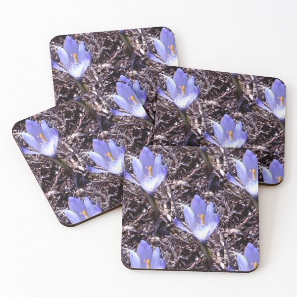 Item preview, Spring designed and sold by DjeriK.