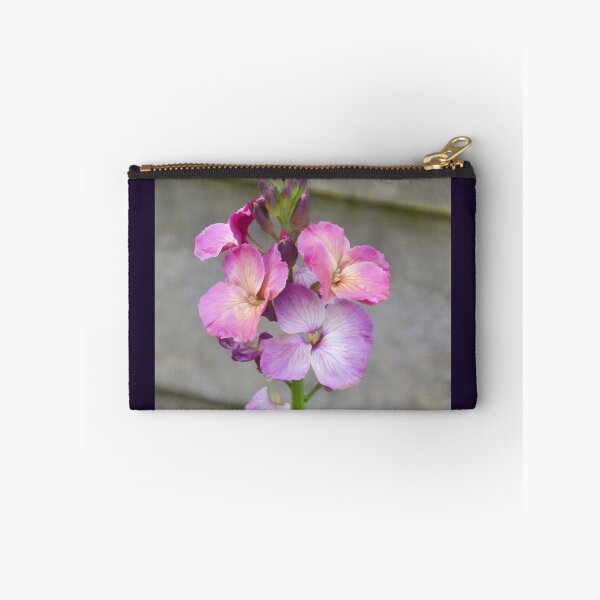 Item preview, Wallflowers in the gardens at Lyme Dorset UK designed and sold by lynn carter.