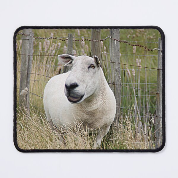 Item preview, The Happiest Sheep designed and sold by Ladymoose.