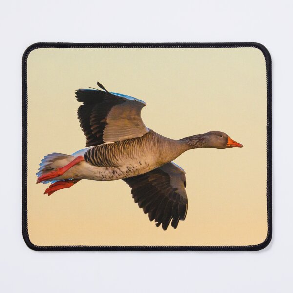 Item preview, Greylag goose sunset designed and sold by Dalyndigital Photography.