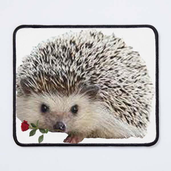 Item preview, Hedgehog and rose designed and sold by DjeriK.