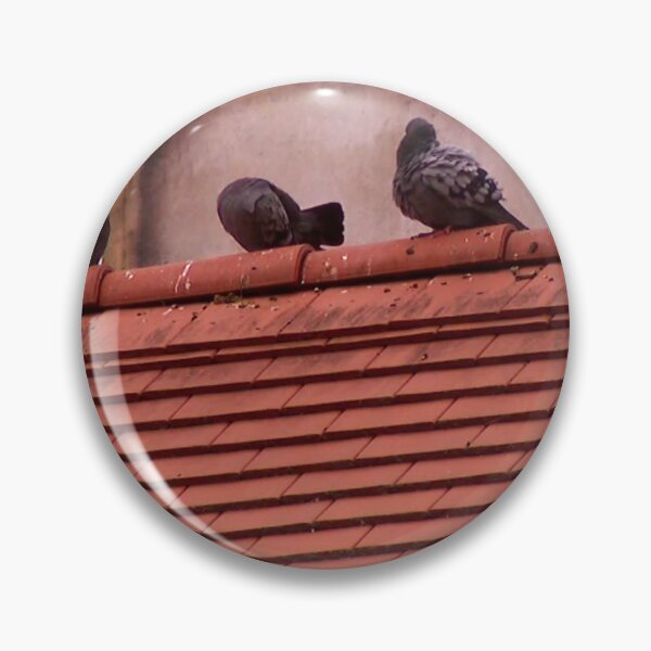 Item preview, Pigeons designed and sold by DjeriK.