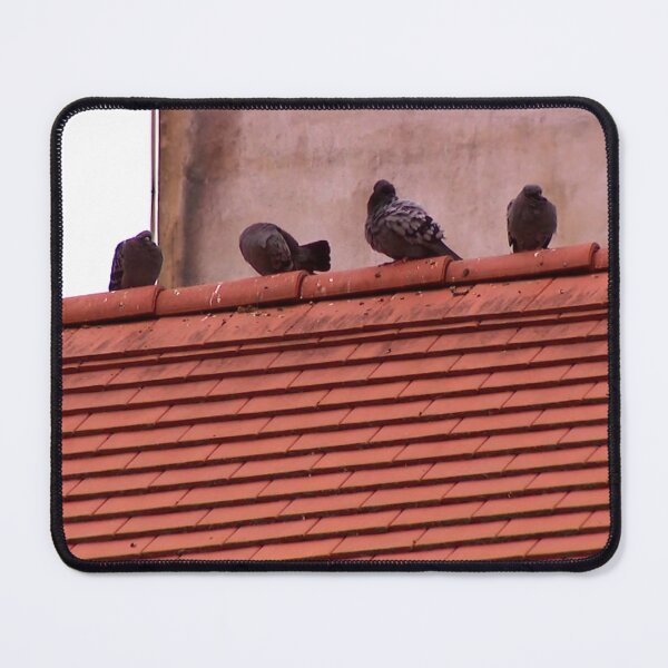 Item preview, Pigeons designed and sold by DjeriK.