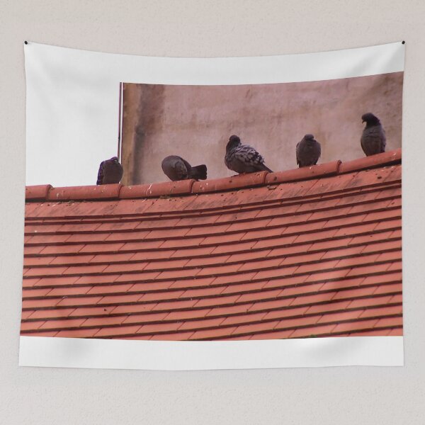 Item preview, Pigeons designed and sold by DjeriK.