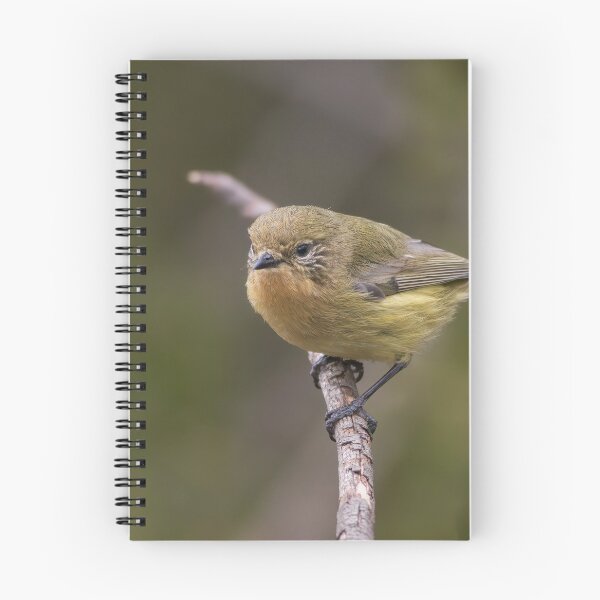 Item preview, Beautiful Little Yellow Thornbill designed and sold by David  Hibberd.