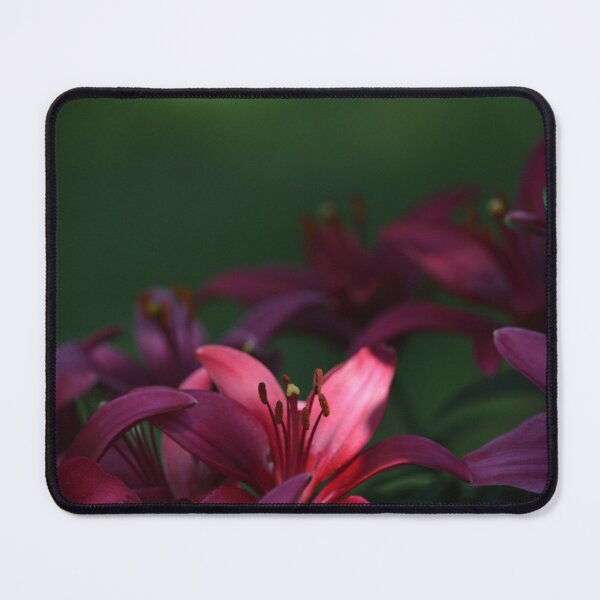 Item preview, Beautiful Bunch designed and sold by Shyenne Moran.