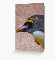 Macaroni Greeting Card