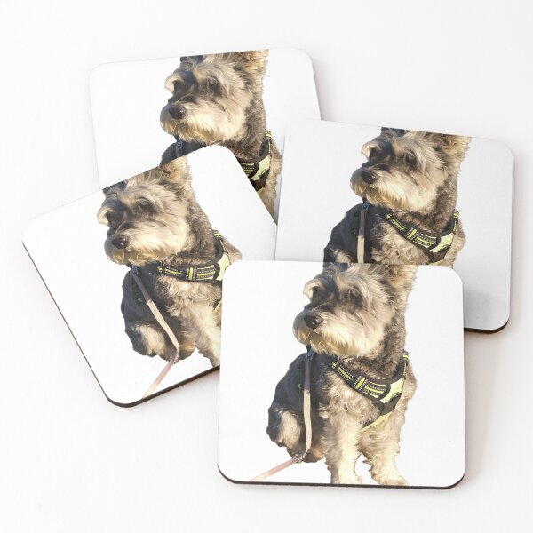 Item preview, A Snazzy Schnauzer  designed and sold by AusTechanNature.