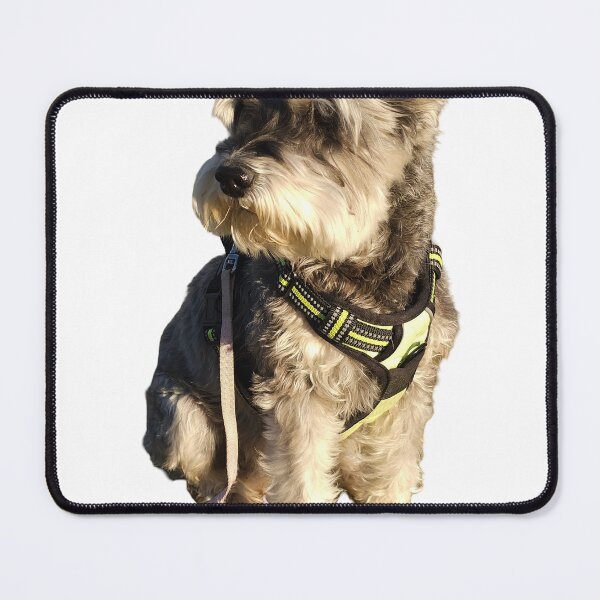Item preview, A Snazzy Schnauzer designed and sold by AusTechanNature.