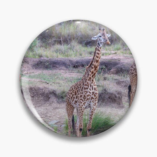 Item preview, Giraffe Trio Masai Mara Kenya designed and sold by PhotoArt by Joan Carroll.