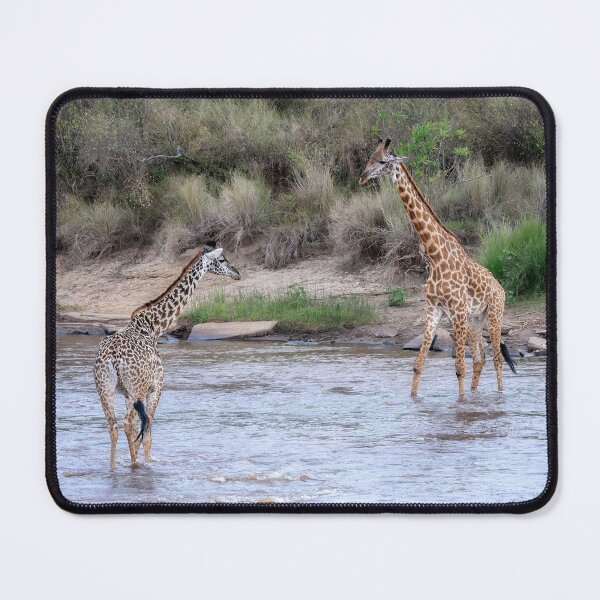 Item preview, Two Giraffes in the River Masai Mara Kenya designed and sold by PhotoArt by Joan Carroll.